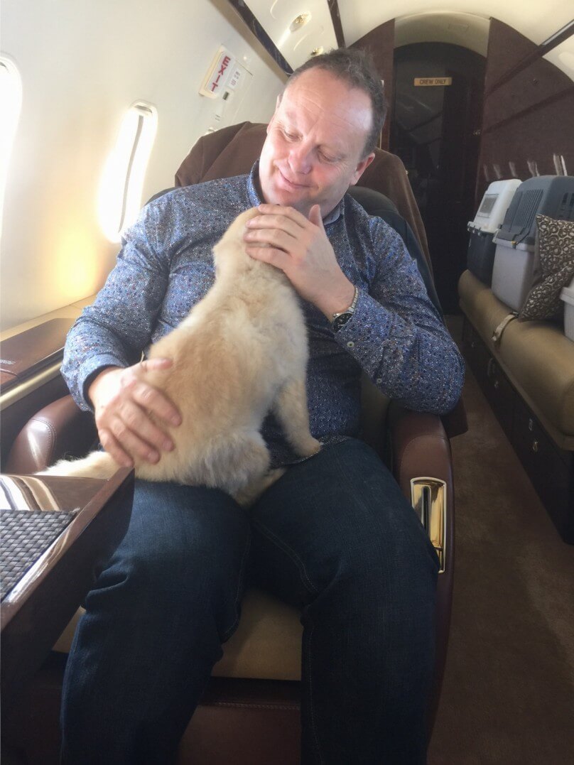 Private jet dog and passenger in the cabin