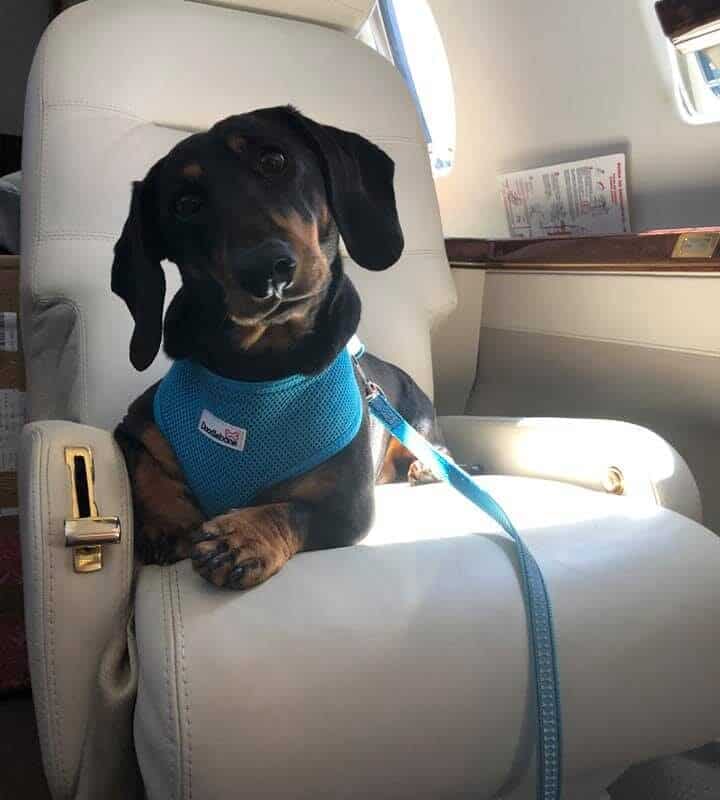 Bruno on private jet hawker 400