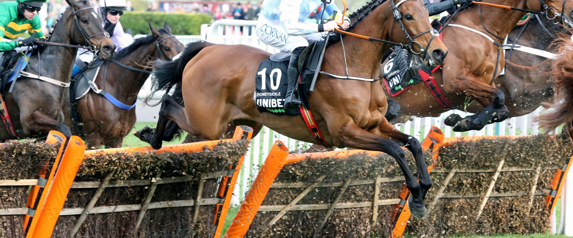 Cheltenham horse racing